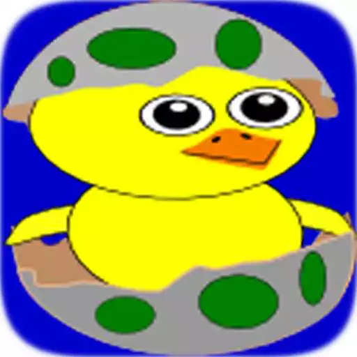 Play Chicky chicker APK Play Chicky chicker APK