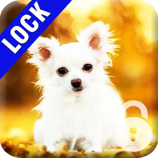 Play Chihuahua Dog PIN Lock APK