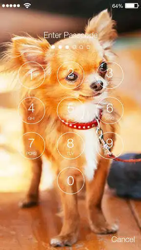 Play Chihuahua Dog PIN Lock as an online game Chihuahua Dog PIN Lock with UptoPlay