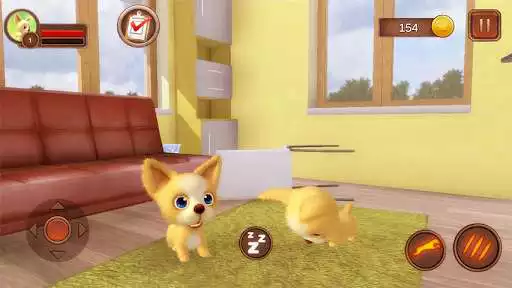 Play Chihuahua Dog Simulator  and enjoy Chihuahua Dog Simulator with UptoPlay