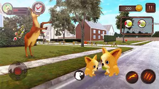 Play Chihuahua Dog Simulator as an online game Chihuahua Dog Simulator with UptoPlay