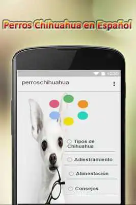 Play Chihuahua dogs in Spanish