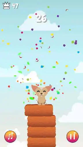Play Chihuahua Jump  and enjoy Chihuahua Jump with UptoPlay