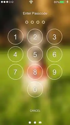 Play Chihuahua Lock Screen