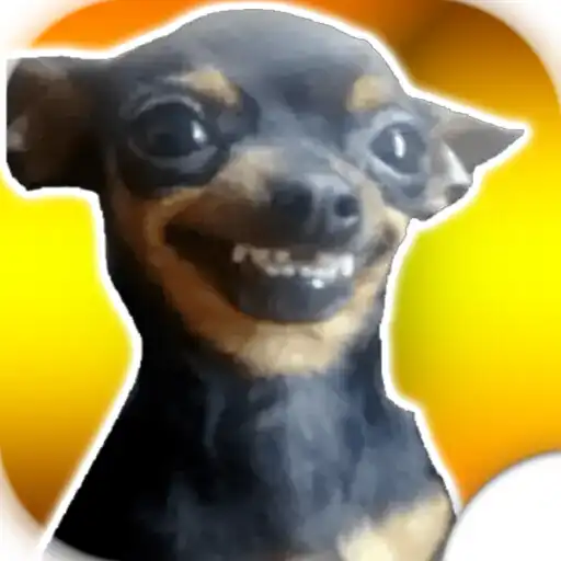 Play Chihuahuas Stickers Animados APK
