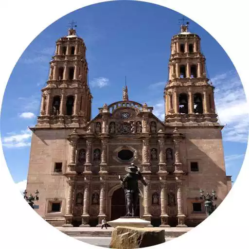 Play Chihuahua - Wiki APK