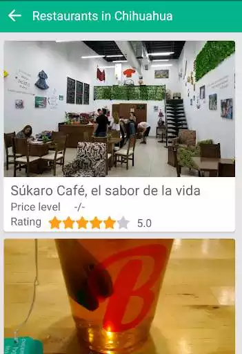 Play Chihuahua - Wiki as an online game Chihuahua - Wiki with UptoPlay