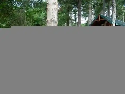 Play Children Playground Design