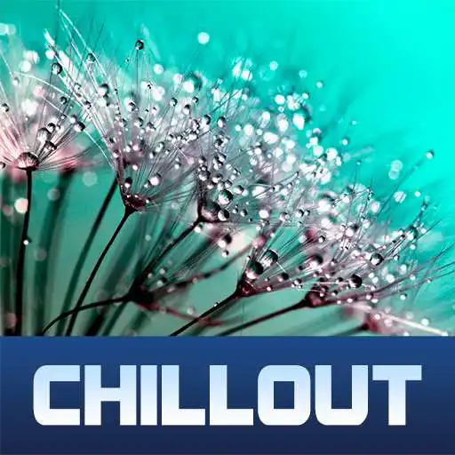 Play ChillOut Record Live Stations APK