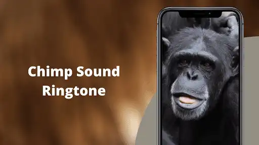 Play Chimpanzee Sounds  and enjoy Chimpanzee Sounds with UptoPlay