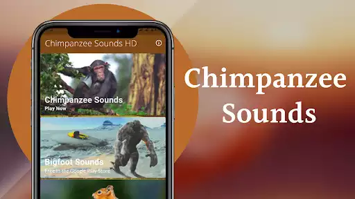 Play Chimpanzee Sounds as an online game Chimpanzee Sounds with UptoPlay