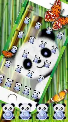 Play China Panda Smile Cute Theme