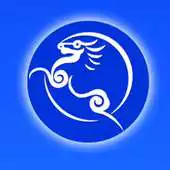 Free play online ChinaTone2.2 APK