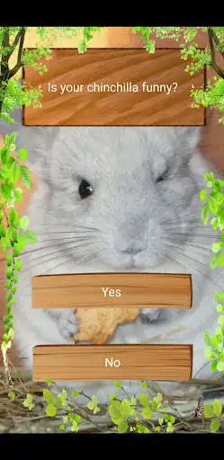 Play Chinchillas Name Generator as an online game Chinchillas Name Generator with UptoPlay
