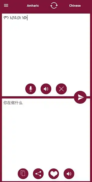Play Chinese Amharic Translator