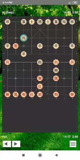 Play Chinese Chess