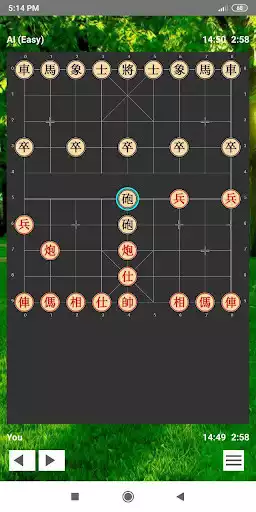 Play Chinese Chess