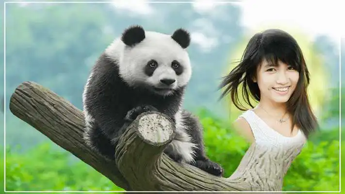 Play Chinese Dragon and Panda photo frames