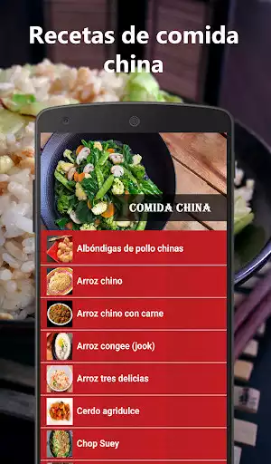 Play Chinese Food Recipes