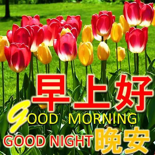 Run free android online Chinese Good Morning Noon Good Night Love APK Run free android online Chinese Good Morning Noon Good Night Love APK