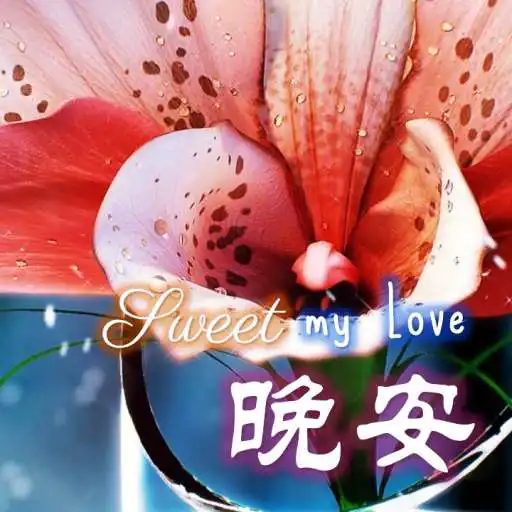 Play Chinese Good Night & Sweet Dreams Wishes Messages APK