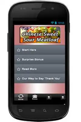 Play Chinese Sweet Sour Meatloaf