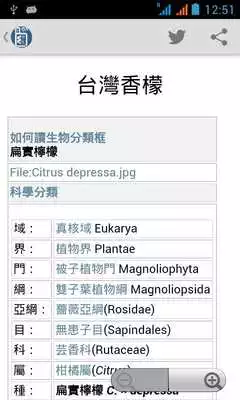 Play Chinese Wikipedia Offline
