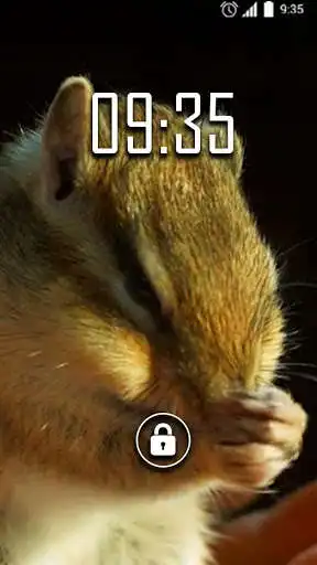 Play Chipmunk Live Wallpaper  and enjoy Chipmunk Live Wallpaper with UptoPlay