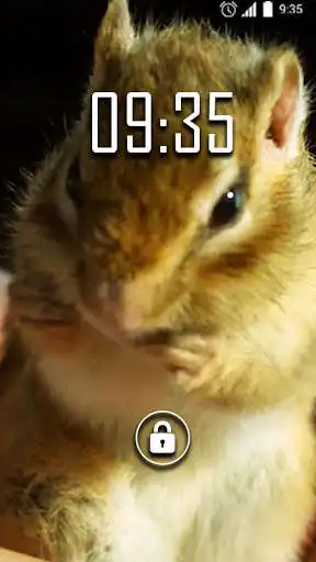 Play Chipmunk Live Wallpaper as an online game Chipmunk Live Wallpaper with UptoPlay