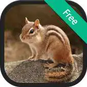 Free play online Chipmunk Sound Ringtones APK
