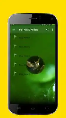 Play Chirping Birds Canary Full Masteran