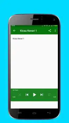 Play Chirping Birds Canary Full Masteran