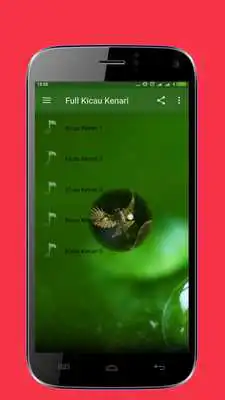 Play Chirping Birds Canary Full Masteran