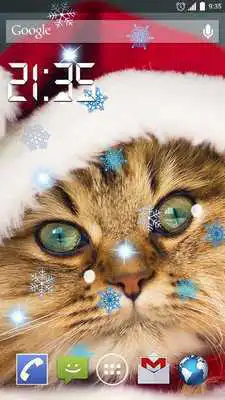 Play Chirstmas Cats 4K Live Wallpap