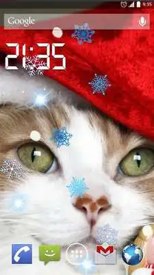 Play Chirstmas Cats 4K Live Wallpap