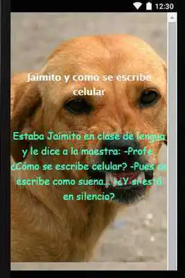 Play Chiste apps cortos gratis