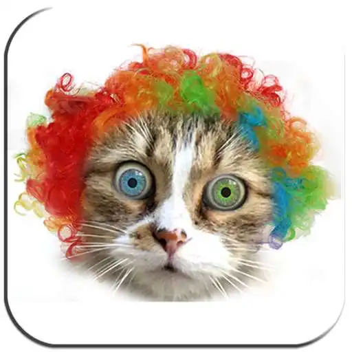 Play CHISTES Divertidos APK Play CHISTES Divertidos APK
