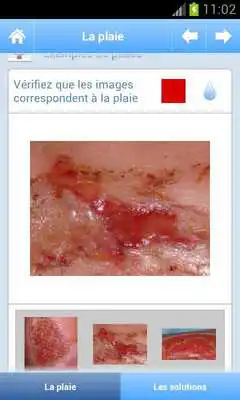 Play Choose a Dressing