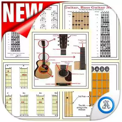 Play Chord bass guitar