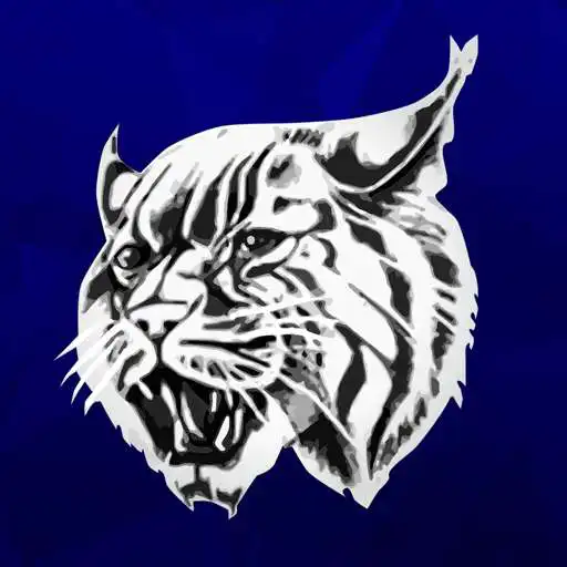 Play Chouteau-Mazie Wildcats APK