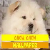 Free play online Chow Chow Dog Wallpaper APK