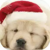 Free play online Chrismas PuppyApplockFacelock APK