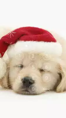Play Chrismas PuppyApplockFacelock Play Chrismas PuppyApplockFacelock