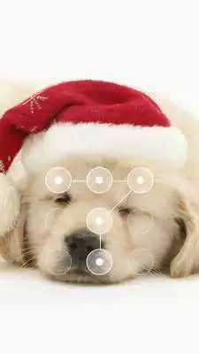 Play Chrismas PuppyApplockFacelock Play Chrismas PuppyApplockFacelock