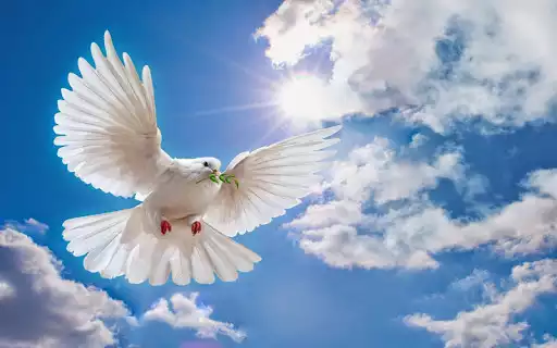 Play Christian Music:  and enjoy Christian Music: with UptoPlay
