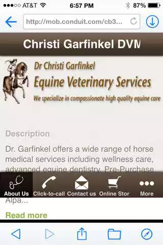 Play Christi Garfinkel DVM Play Christi Garfinkel DVM
