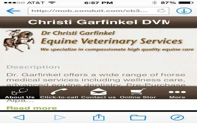 Play Christi Garfinkel DVM Play Christi Garfinkel DVM