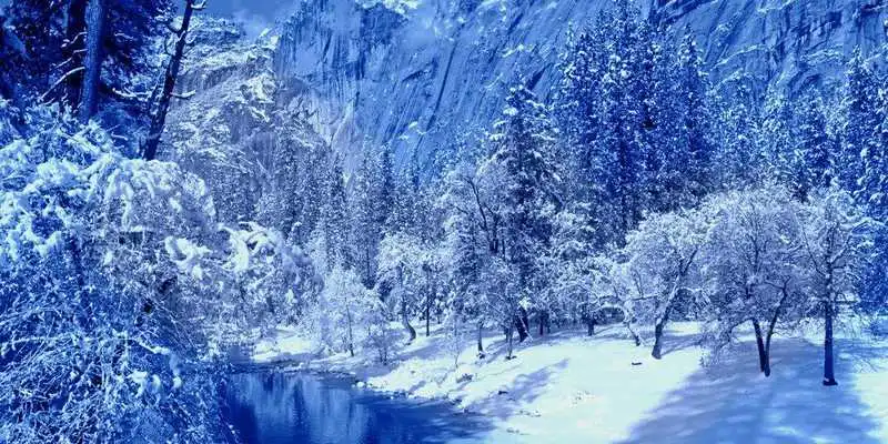 Play Christmas Cards Blue