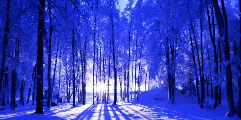 Play Christmas Cards Blue
