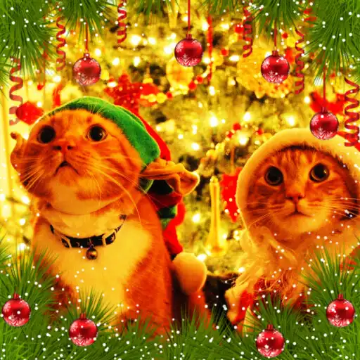 Play Christmas cards  wallpapers APK